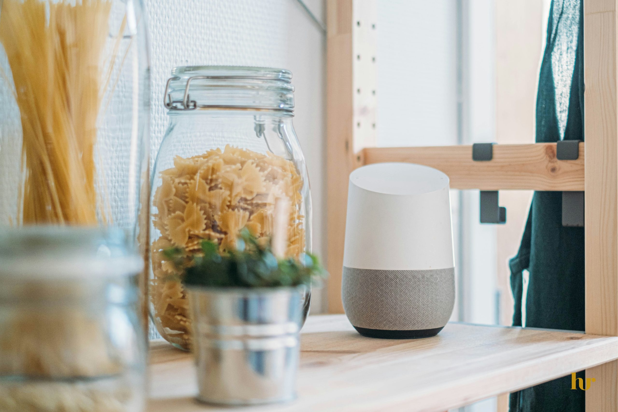 google nest mini vs amazon echo dot